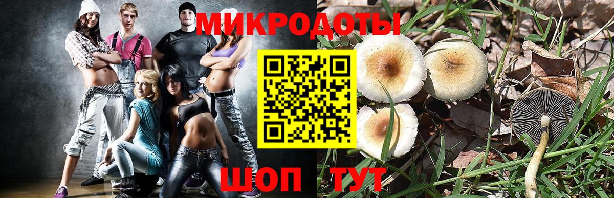 Псилоцибиновые грибы мицелий  Вход с VPN  Котлас 